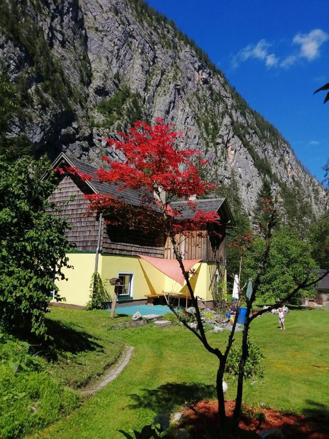 Вилла Haus Waldbach Гальштат Экстерьер фото