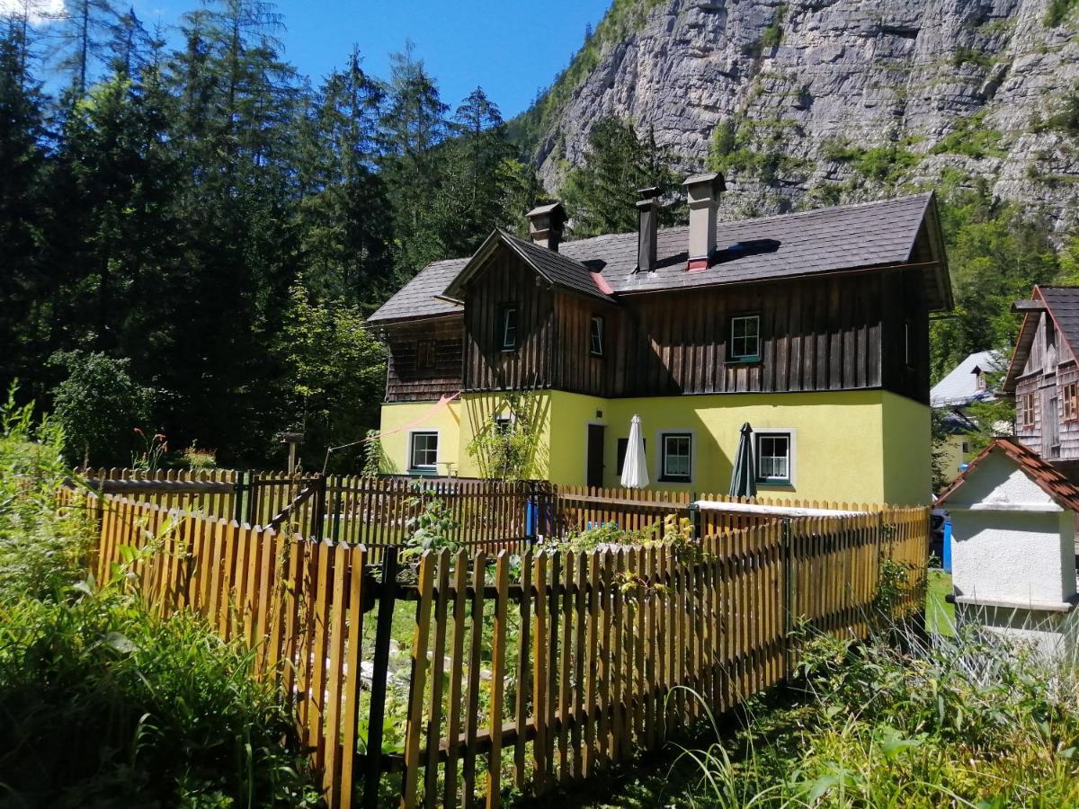 Вилла Haus Waldbach Гальштат Экстерьер фото