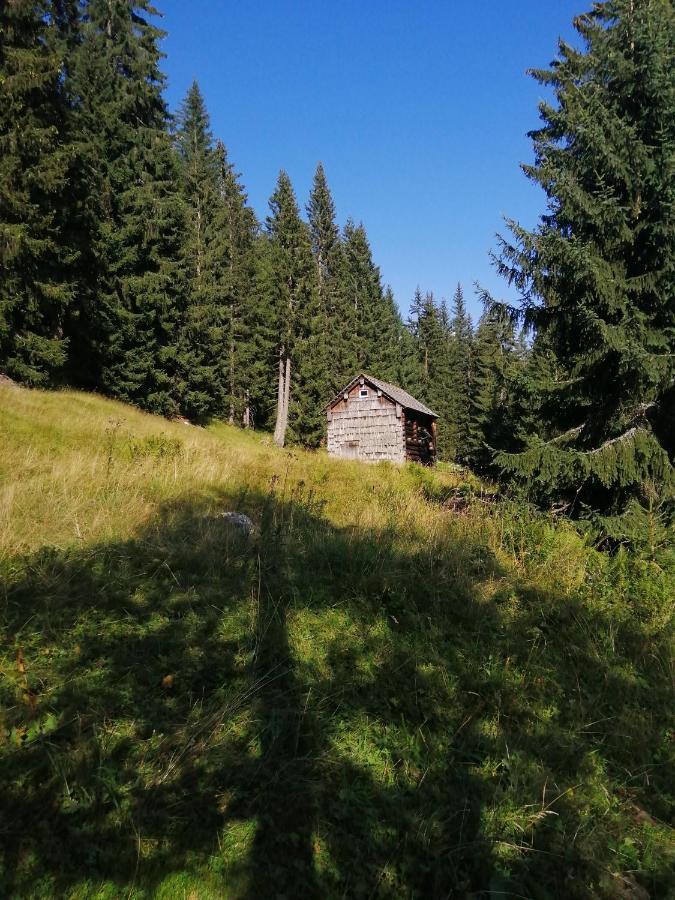 Вилла Haus Waldbach Гальштат Экстерьер фото